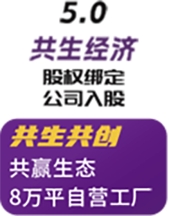 供应链与技术壁垒